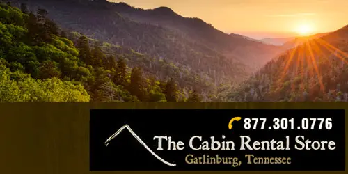 The Cabin Rental Store