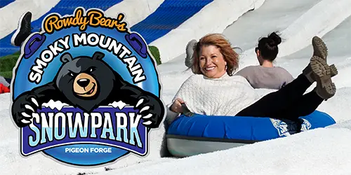 Rowdy Bear’s Smoky Mountain Funpark