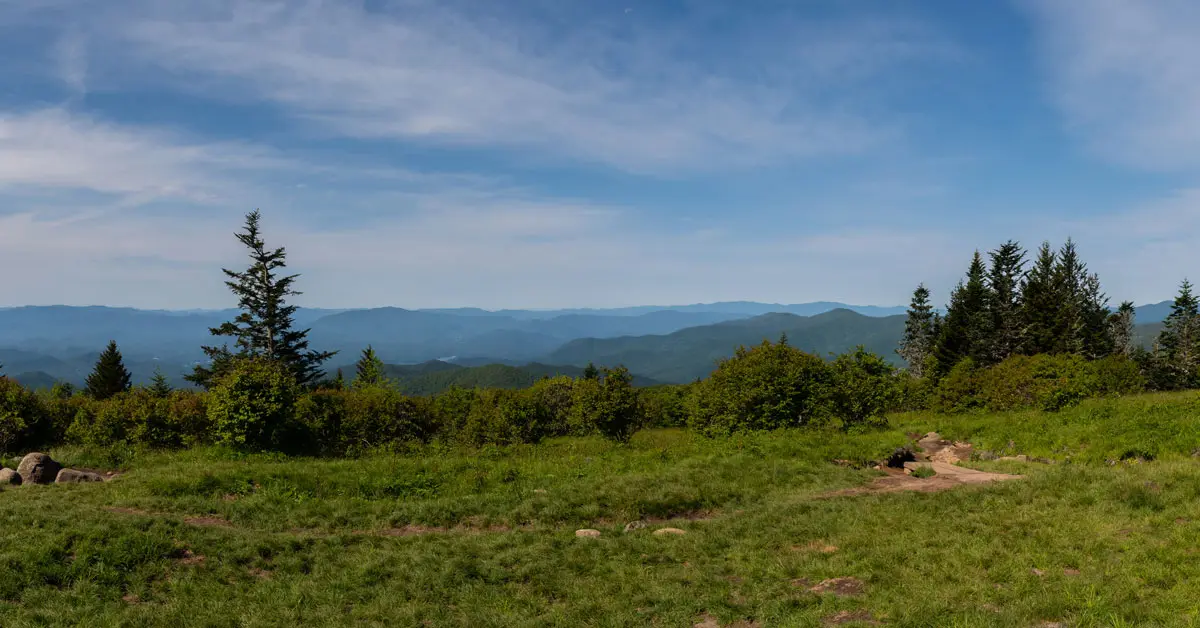 View from Andrew's Bald