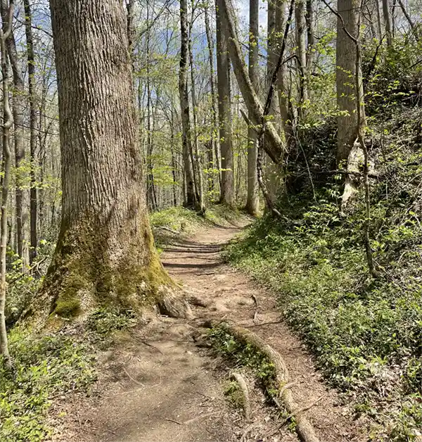 Cucumber Gap Trail