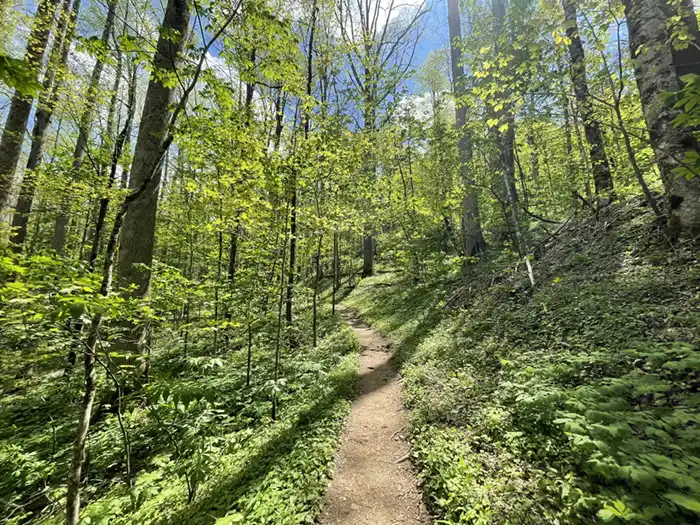 Cucumber Gap Trail