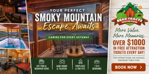 Bear Tracts Vacation Cabins