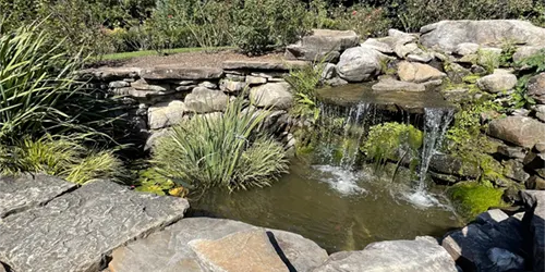 A water feature at UT Gardens in Knoxville, TN