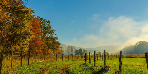 fall drives in the smokies fall drives in the smokies