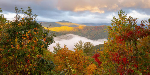 fall drives in the smokies fall drives in the smokies