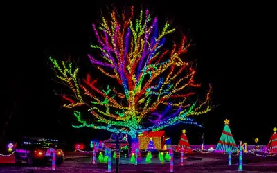 Christmas Never Ends Drive-Thru Light Show: Click for details.