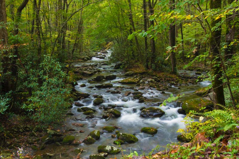 Porters Creek Trail (Fern Branch Falls)