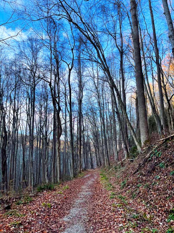November 21, 2020 Jakes Creek Trail