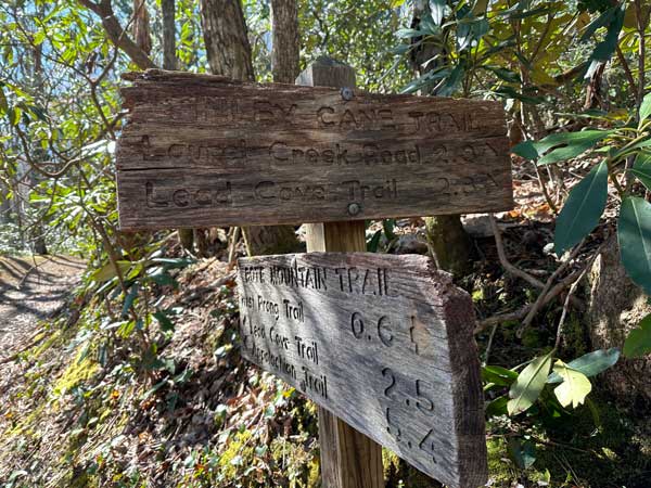 Sign at the intersection with Bote Mtn; easy to miss Finley Cane Trail