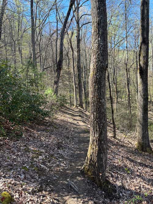 Finley Cane Trail