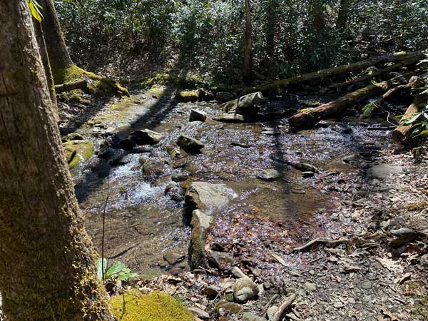 Finley Cane Trail