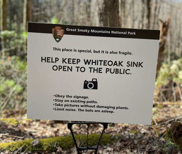Whiteoak Sink via Schoolhouse Gap Trail