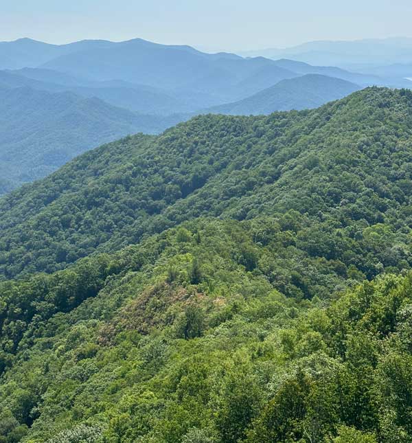 View from the cab of Shuckstack fire tower Shuckstack Fire Tower via the AT