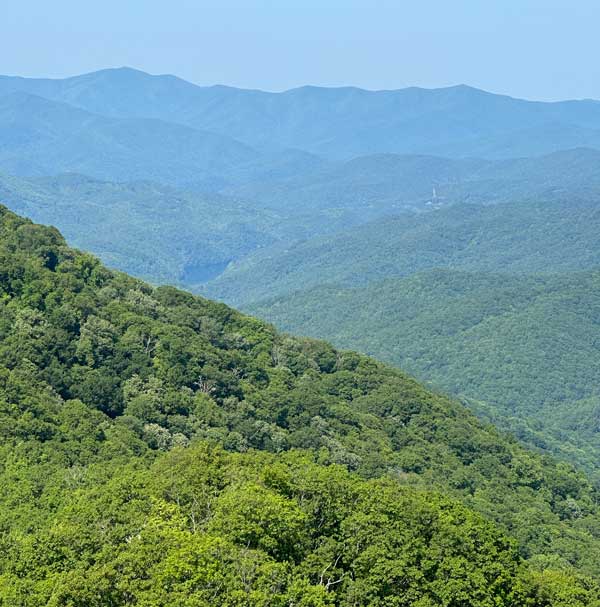 View from the cab of Shuckstack fire tower Shuckstack Fire Tower via the AT