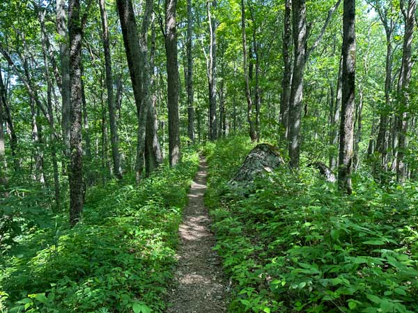 Appalachian Trail near Shuckstack Shuckstack Fire Tower via the AT