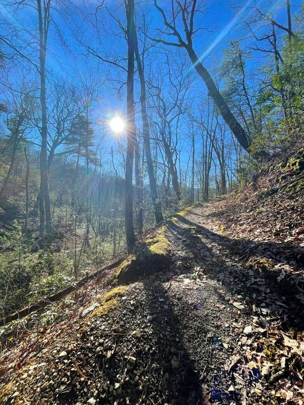 Rich Mountain Loop