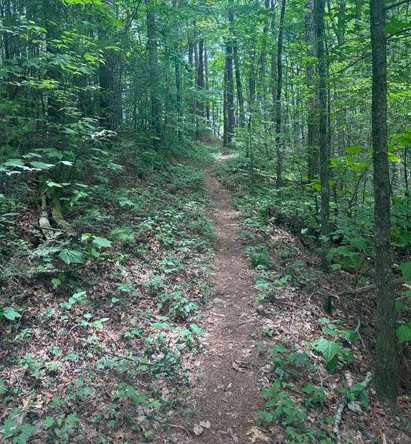 Roundtop Trail
