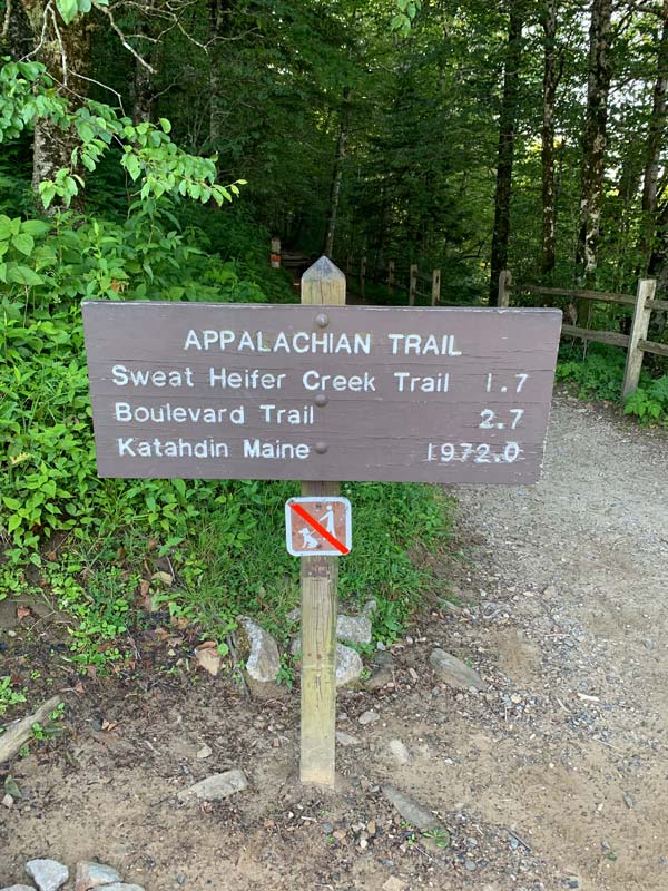 Boulevard Trail (Mt. LeConte)