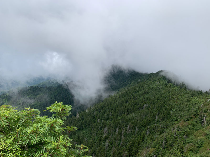 Cloudy view Boulevard Trail (Mt. LeConte)