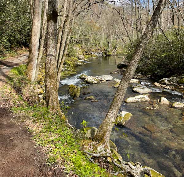 Little River Trail