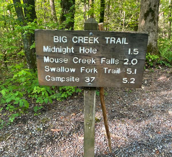 Big Creek Trail (Mouse Creek Falls, Midnight Hole)