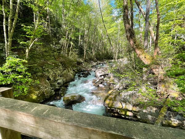 Big Creek Trail (Mouse Creek Falls, Midnight Hole)