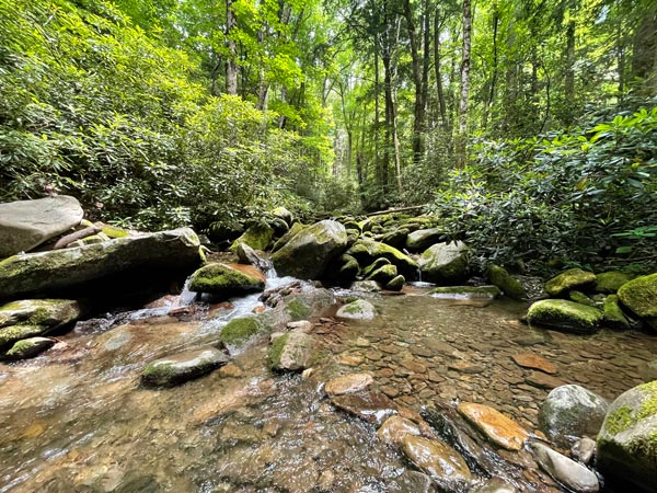 Low Gap Trail