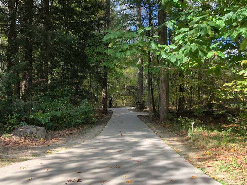 Cataract Falls (Fighting Creek, Cove Mountain Trail)