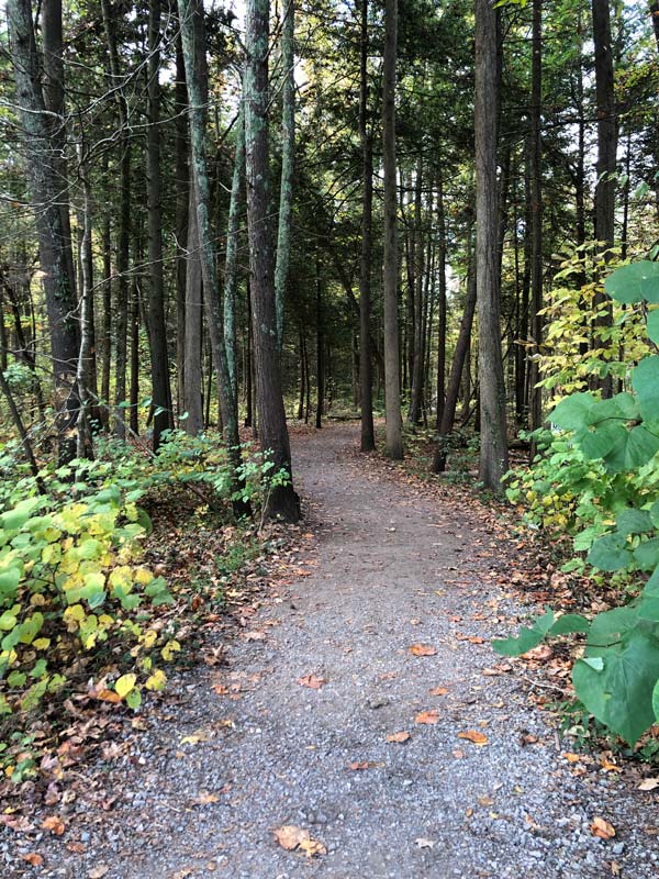 Gatlinburg Trail