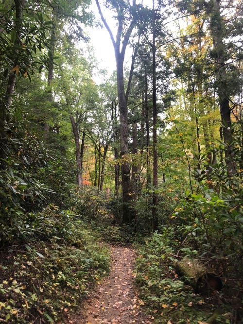 Low Gap Trail