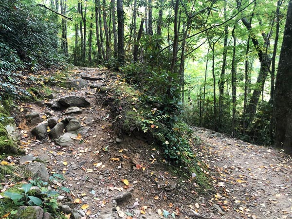 A particularly scary looking switchback on Low Gap Low Gap Trail