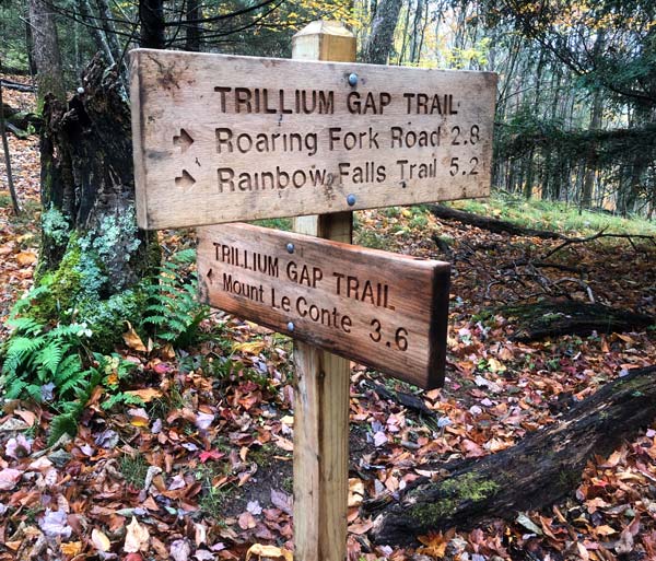 Trillium Gap Trail (Grotto Falls, Mt. LeConte)