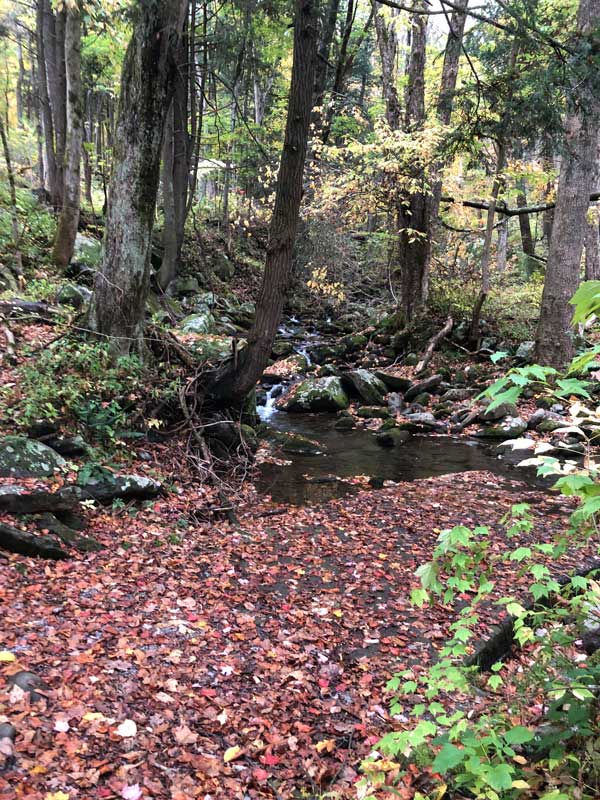 Old Sugarlands Trail