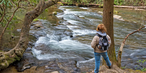 Hiker standing next to Abrams Creek