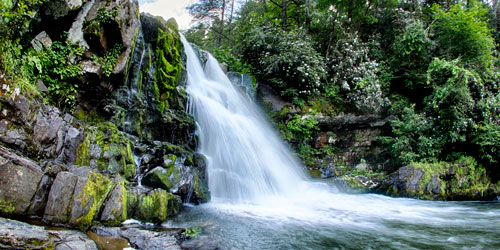 Top 4 Waterfalls In The Smoky Mountains: Click to visit page.