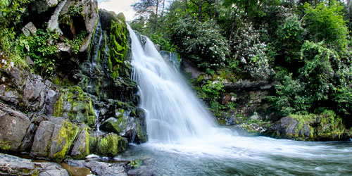 Waterfalls In The Smokies