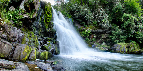 Top 4 Waterfalls In The Smokies: Click to visit page.