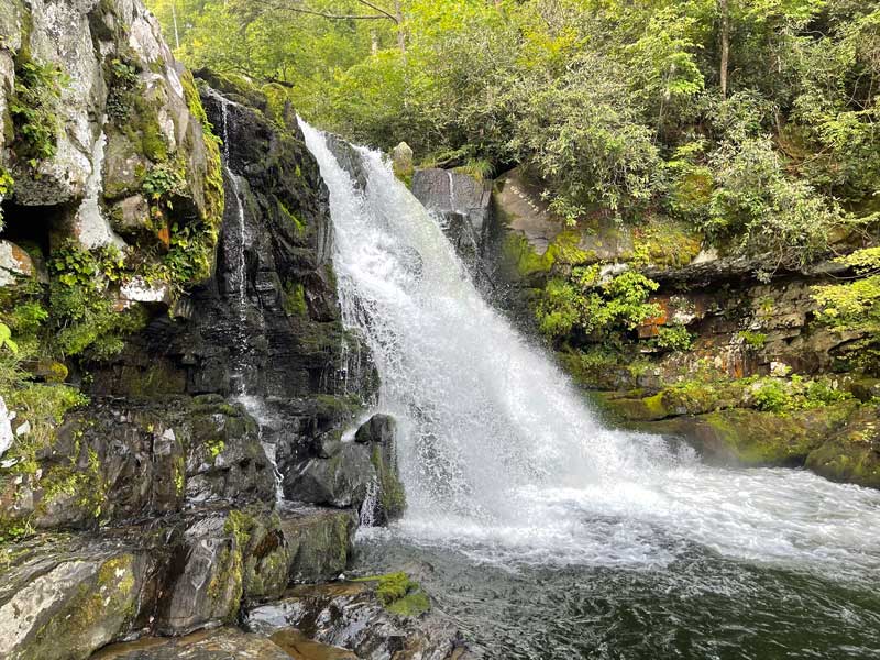 Abrams Falls Trail