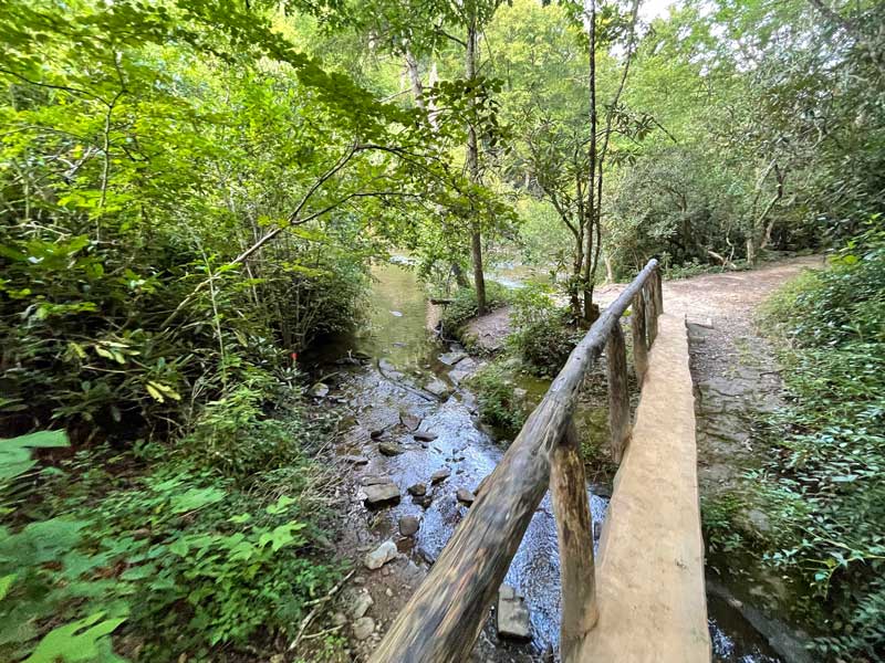 Footbridge on the trail before reaching the waterfalls Abrams Falls Trail