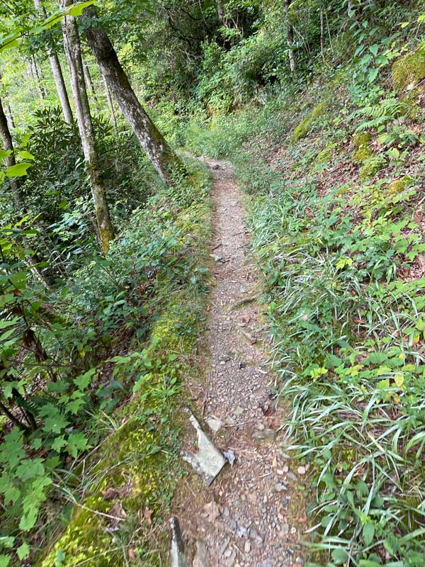 The trail continues after the waterfall Abrams Falls Trail