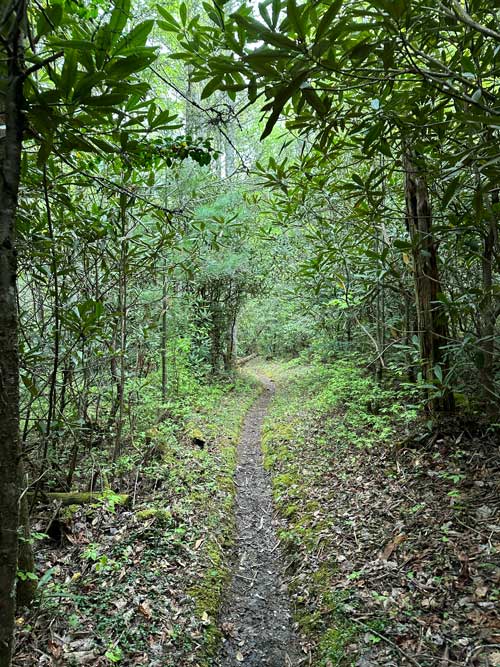 Ace Gap Trail