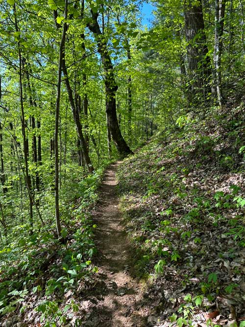Ace Gap Trail