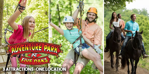 Adventure Park at Five Oaks: Click to visit page.