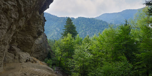 Alum Cave Trail: Click to visit page.