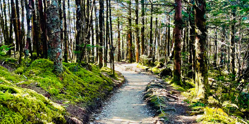 Alum Cave trail descending Mount LeConte Alum Cave trail descending Mount LeConte