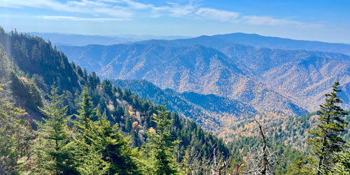 view of Clingman's Dome from Alum Cave Trail