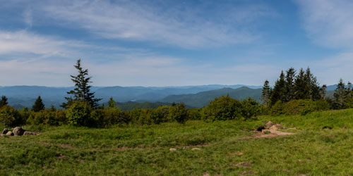 view from Andrews Bald