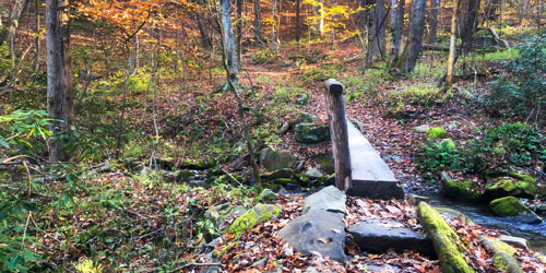 Hiking Cades Cove Trails in the Smokies: Click to visit page.