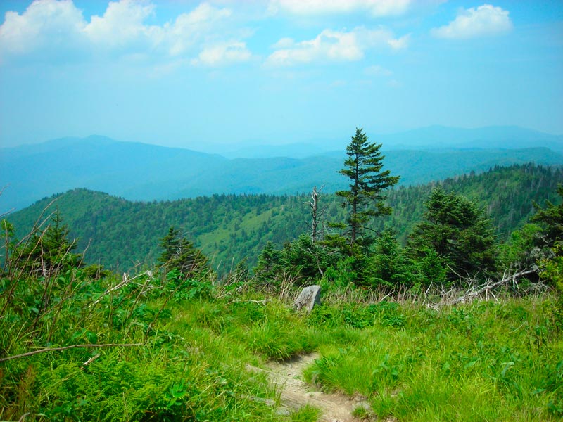 Appalachian Trail Smoky Mountains Segment