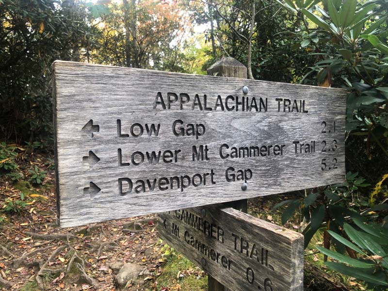 Mt. Cammerer Trail via Low Gap + AT
